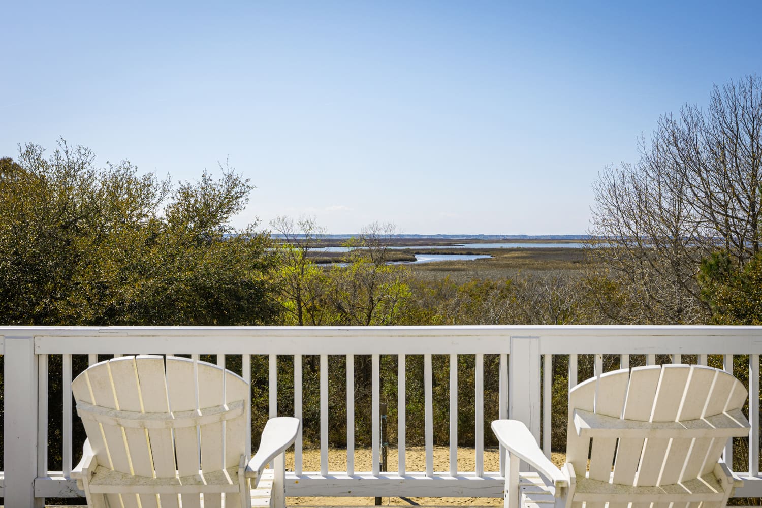 The Anchored Thistle property image