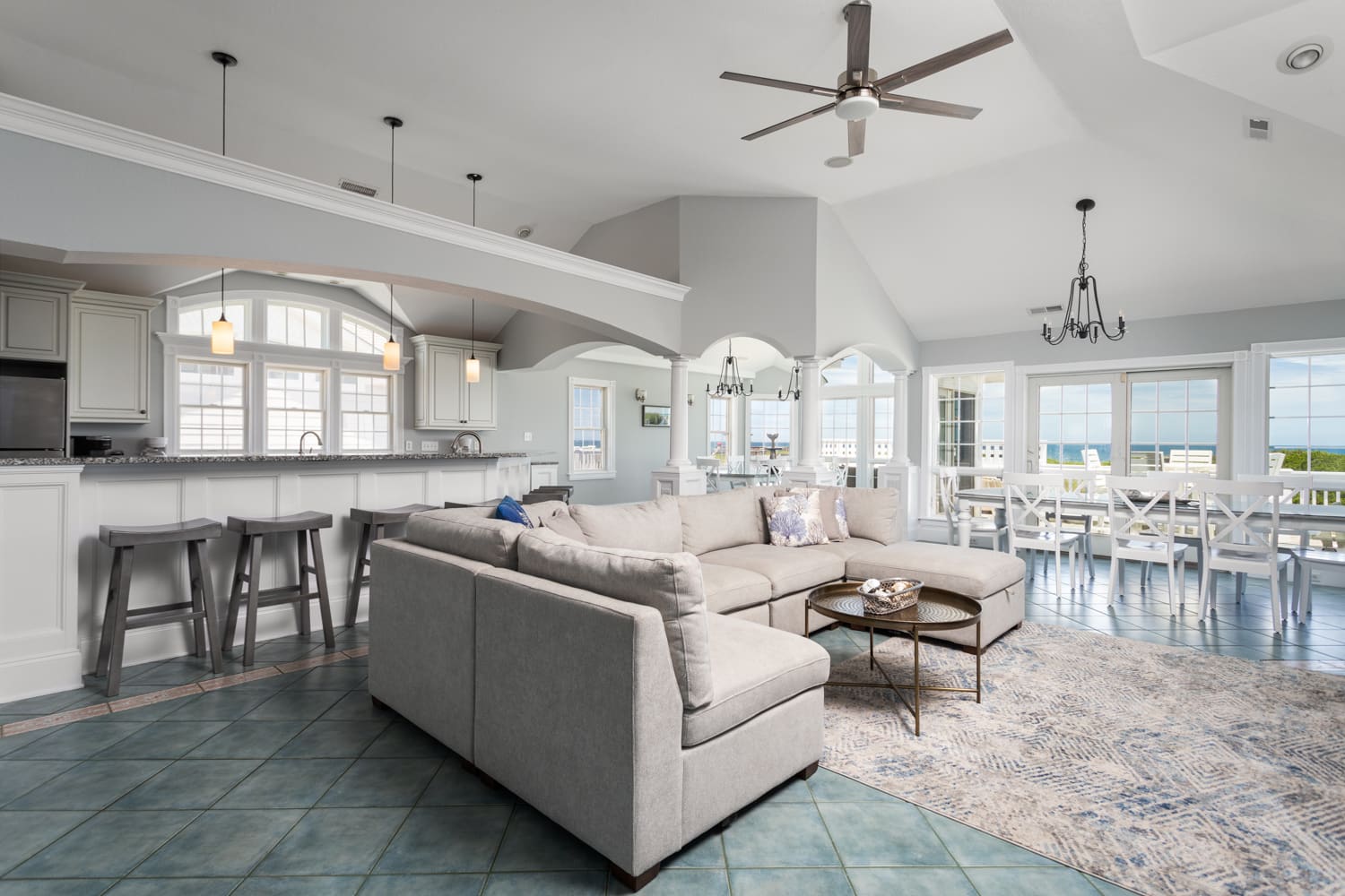 C Dolphin property image