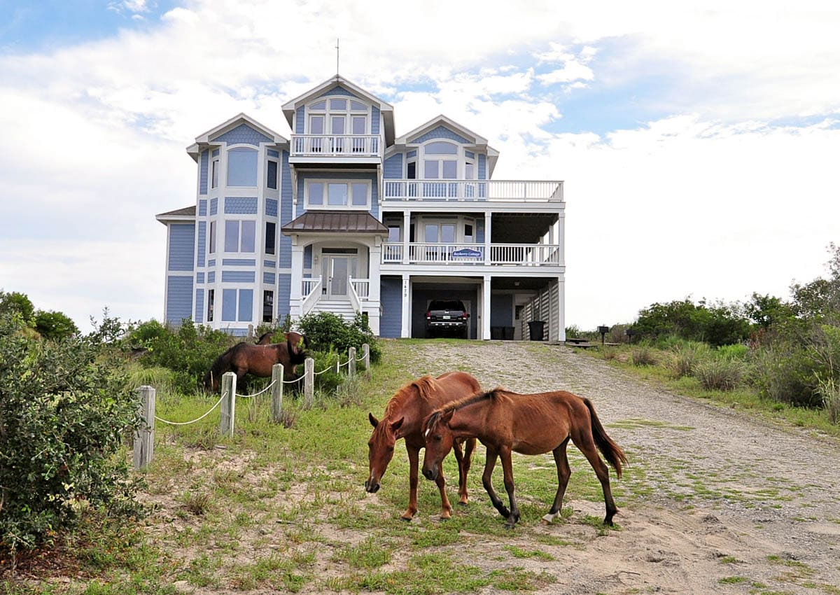 Bayberry Cottage property image