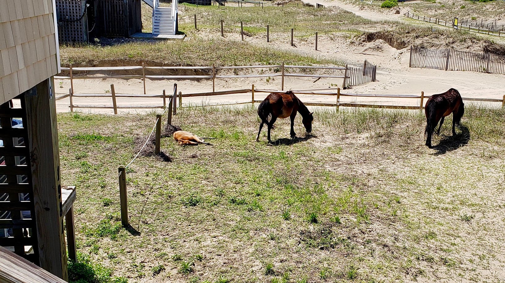 Xanadune property image