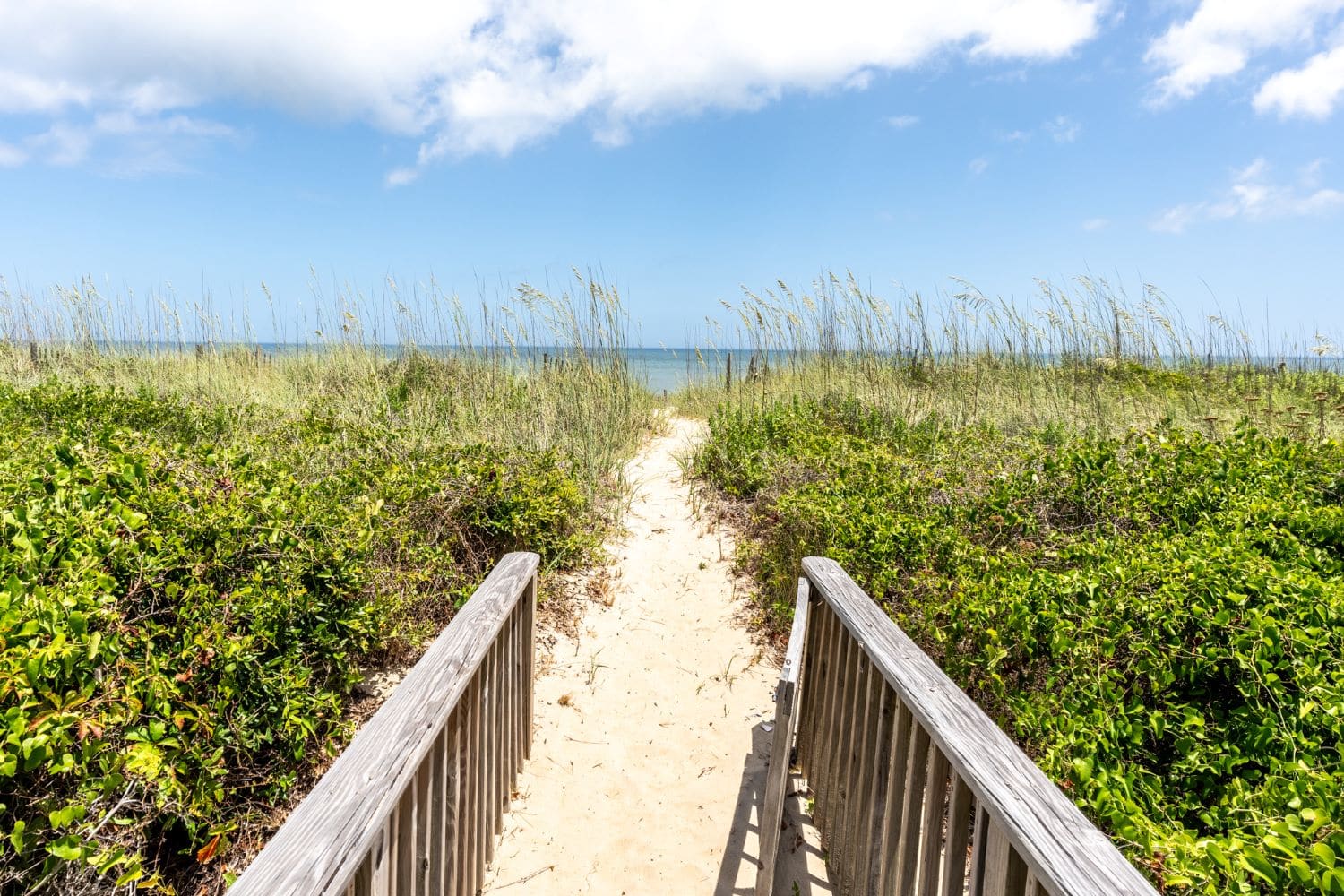 Beach Grass Breeze property image