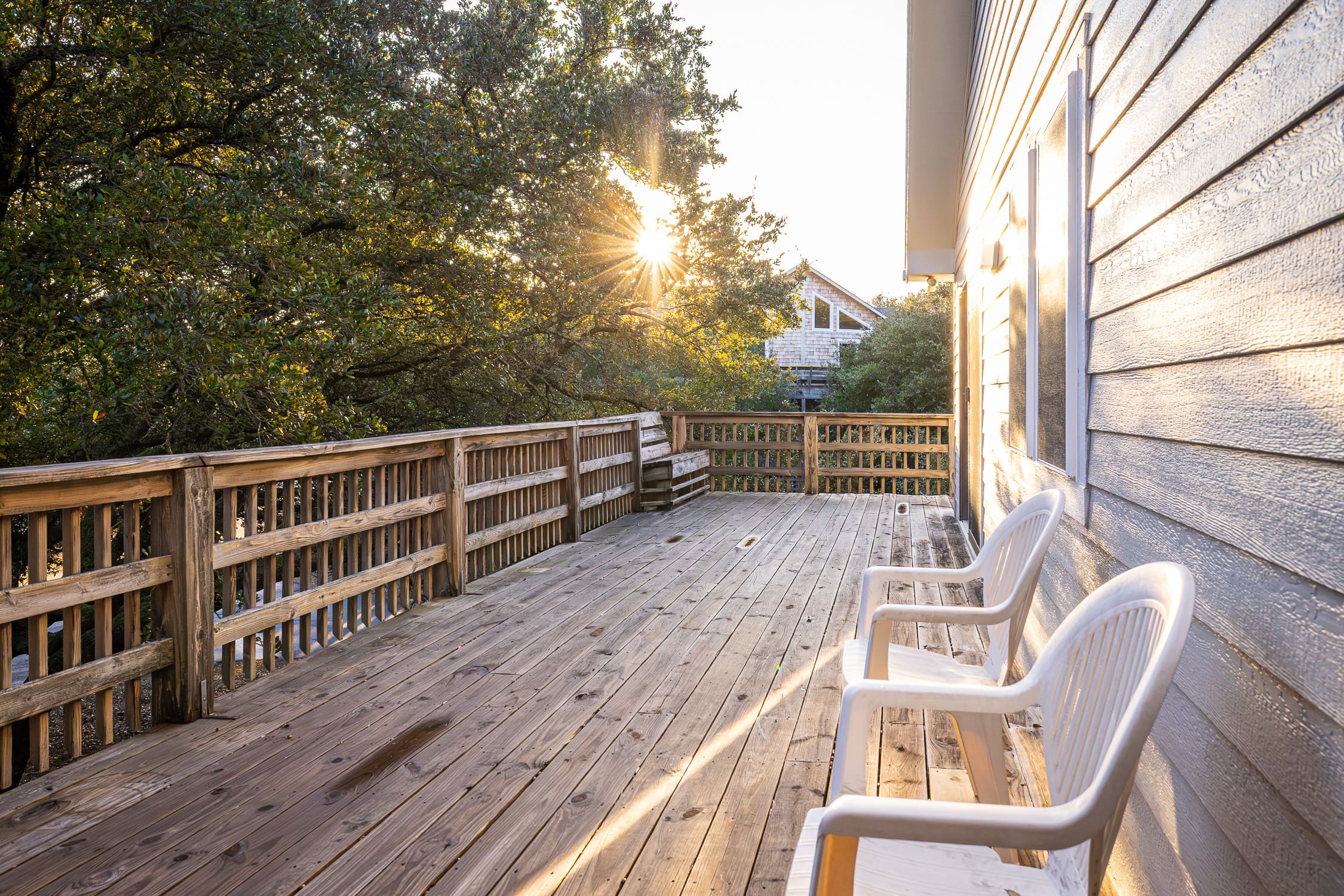 Modern Magnolia property image