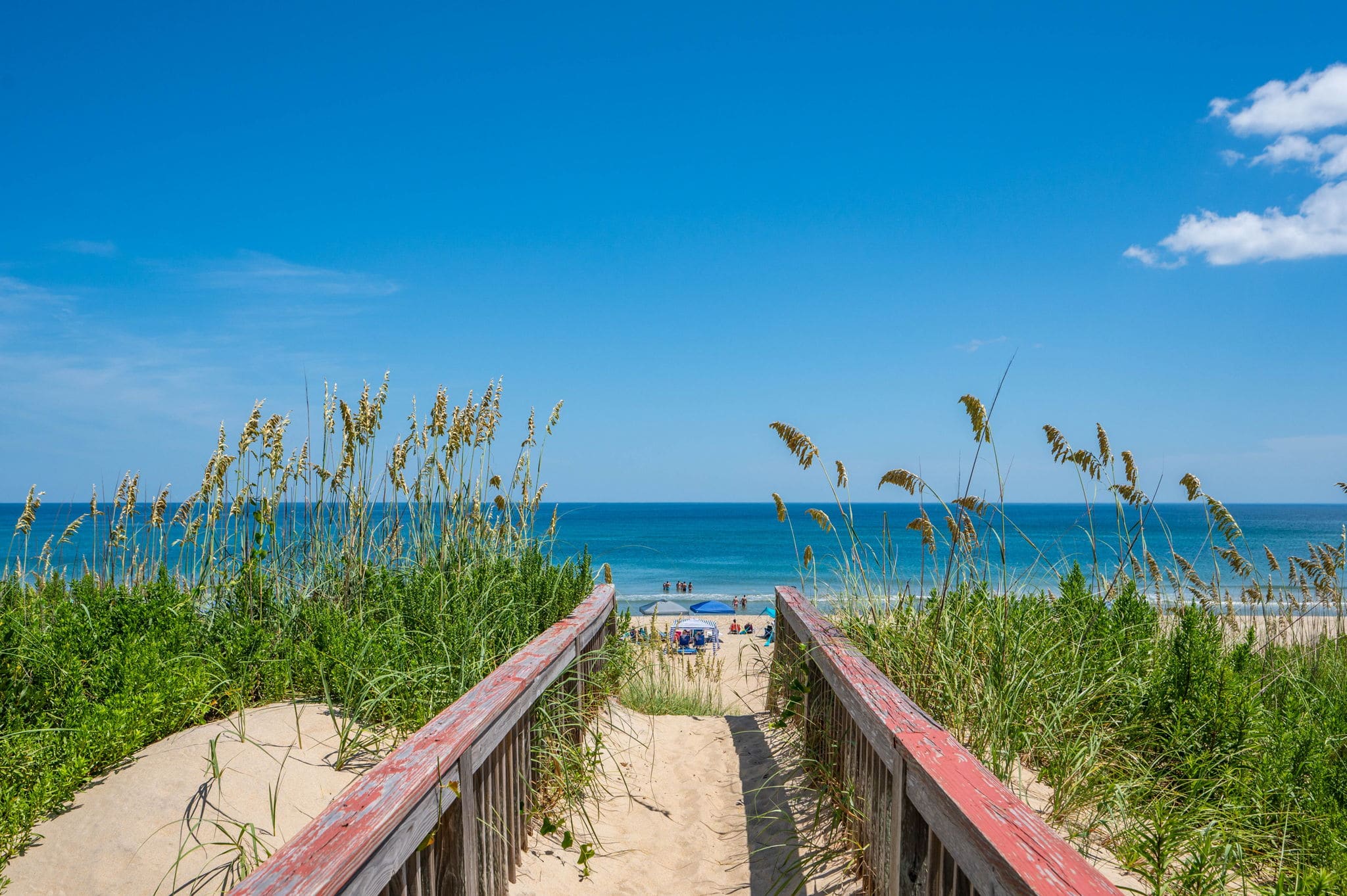 Take Me a Wave property image