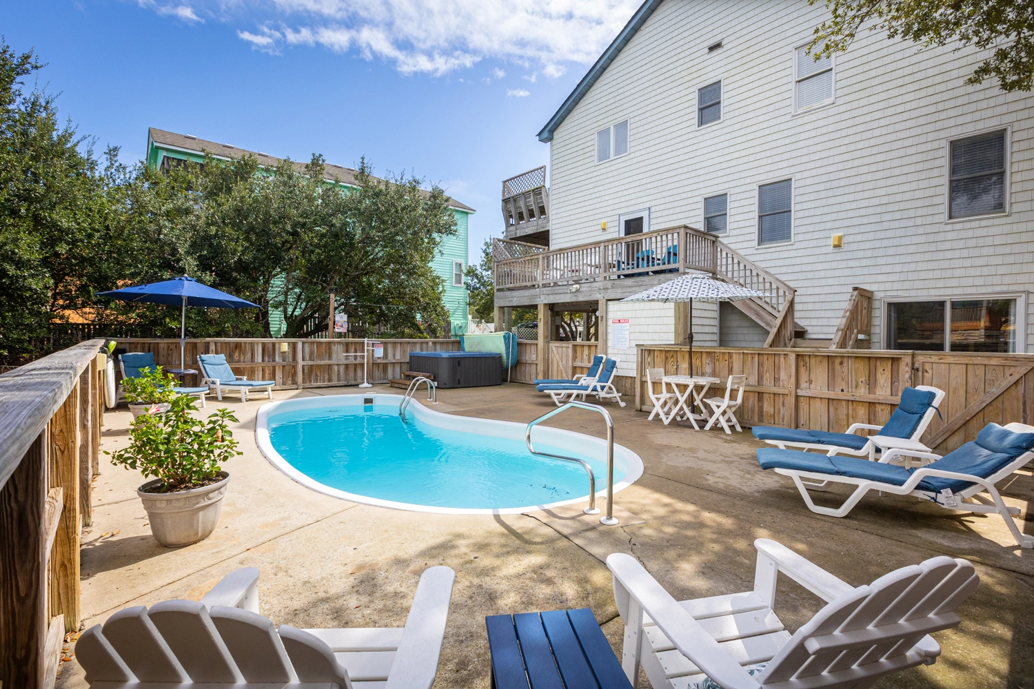 Sue Sun's Herd of Turtles